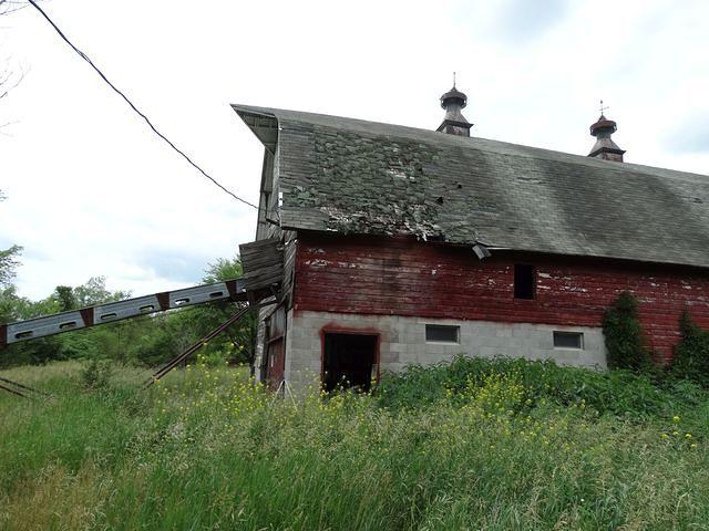 DSC08265