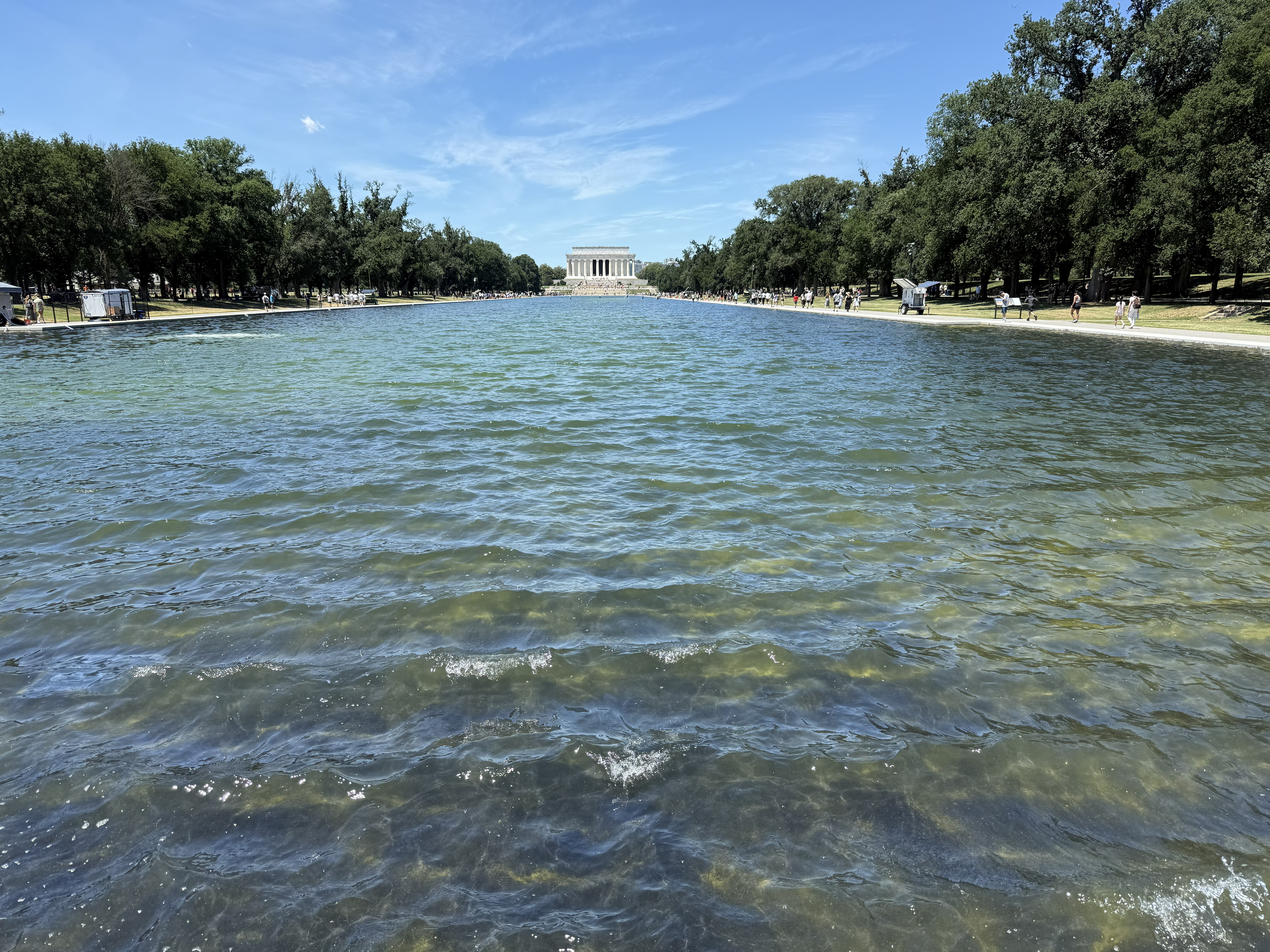 The Lincoln Memorial Reflecting Pool, freshly renovated at a cost of more than sixteen million dollars, reflecting nothing at all.