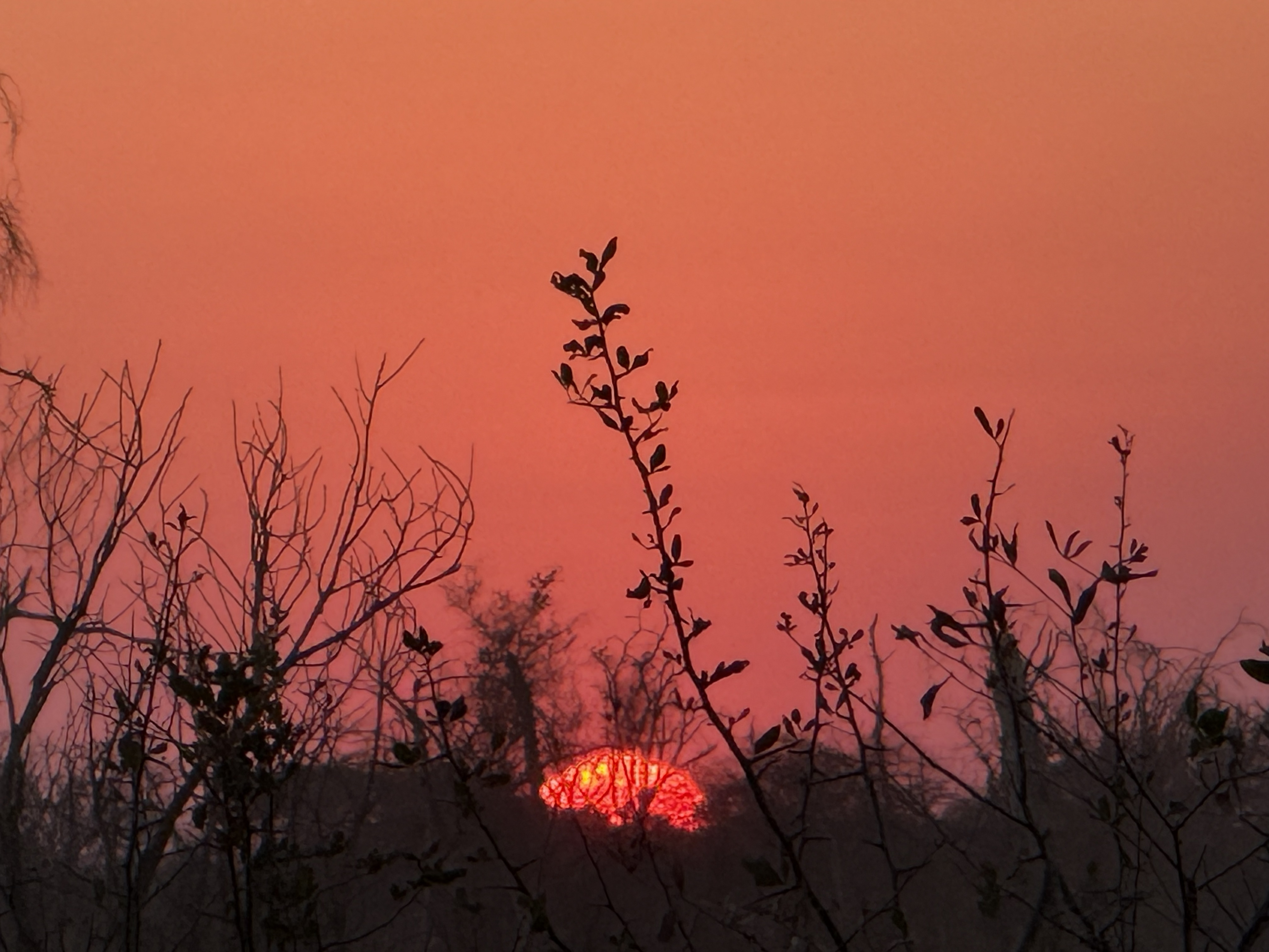 Sunset over Hwange. In winter it comes early and drops fast, and it takes the temperature with it. We drove back to the lodge in the cold and the dark, having seen, in one short af