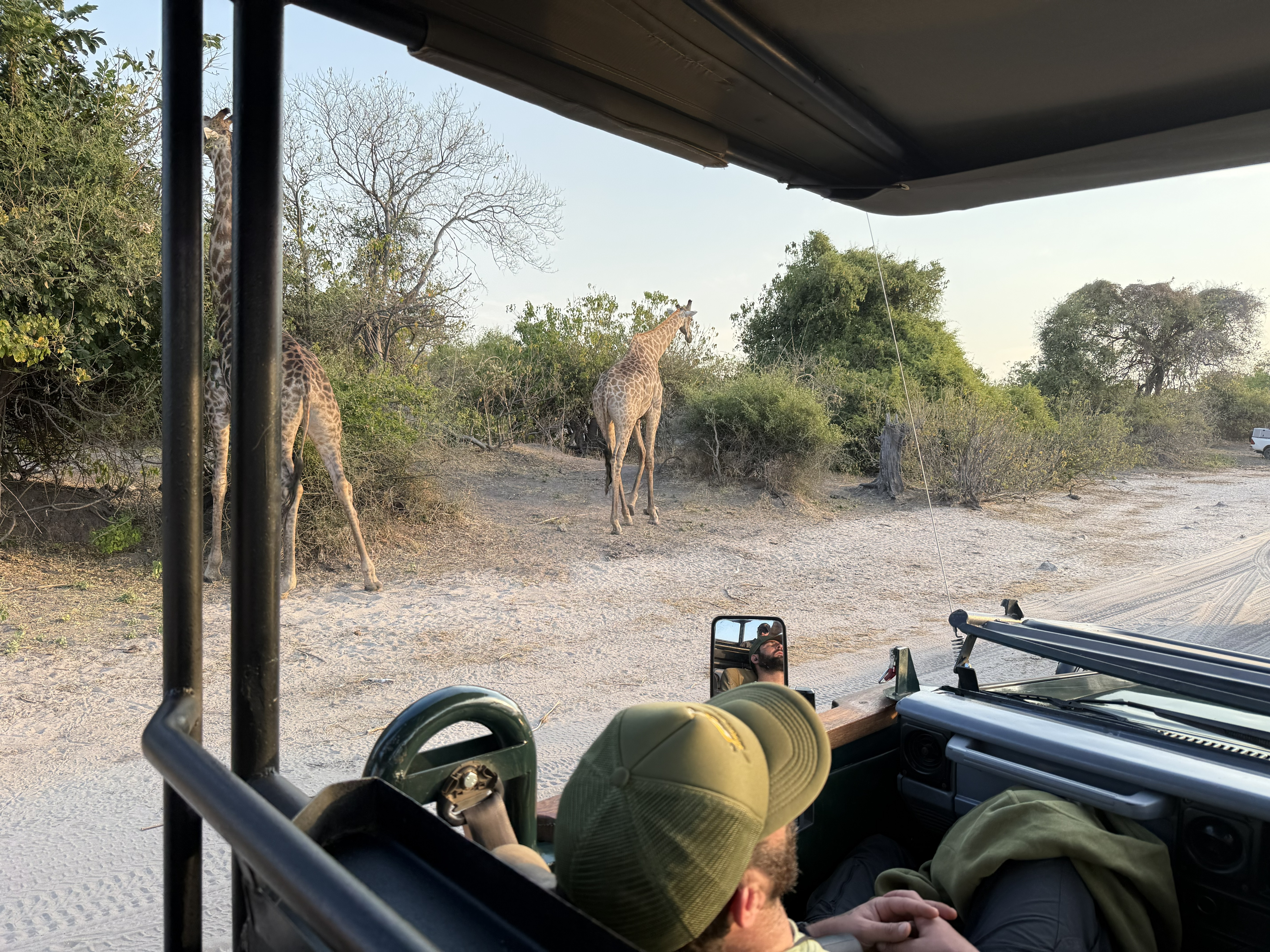 Dylan, asleep. He lives in Cape Town; he has seen all of this more times than he could count, and somewhere in the gold of a Chobe afternoon he simply, peacefully, checked out. The