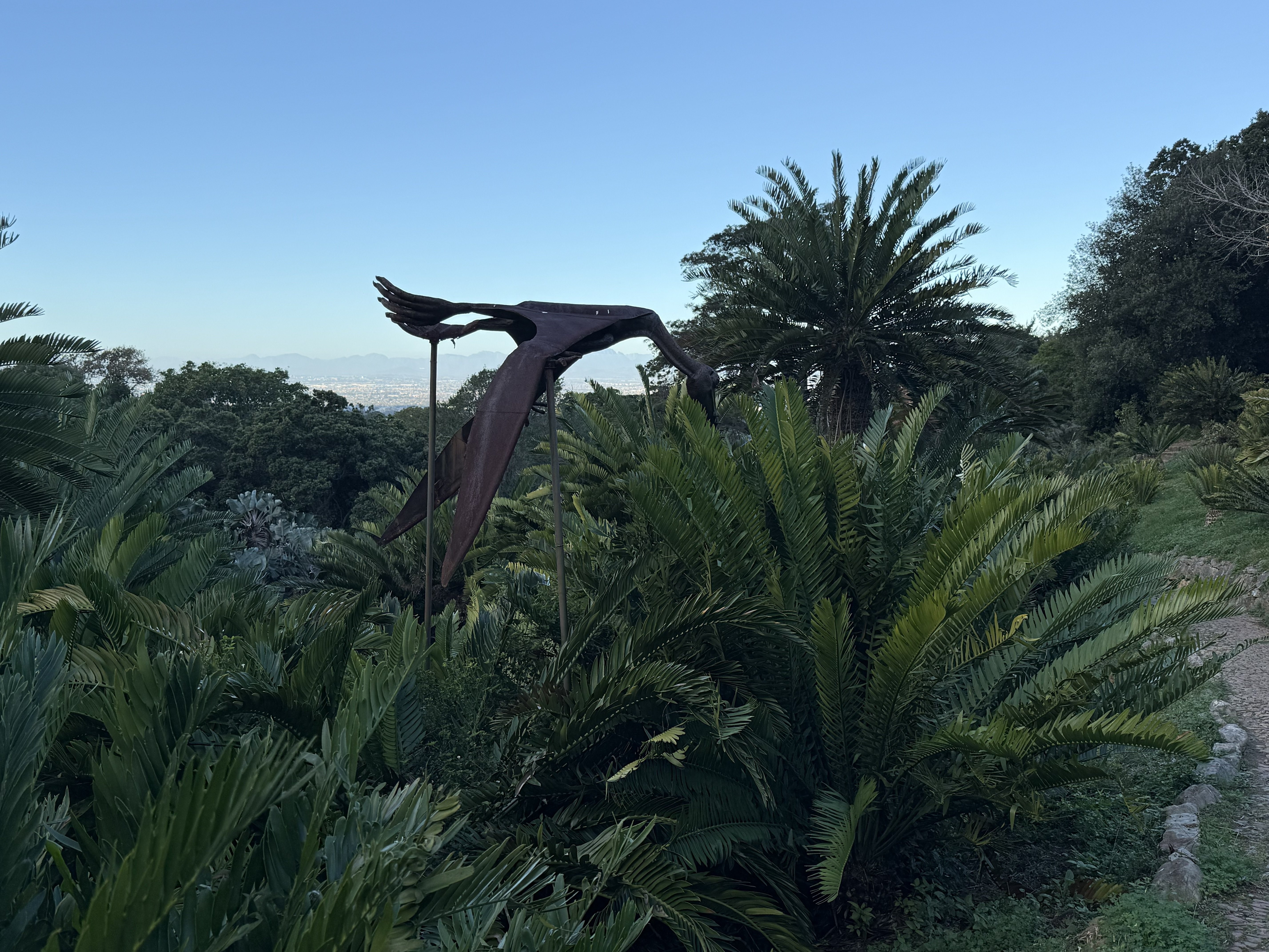 Tree ferns and a life-size model dinosaur — a nod to how ancient some of the plant lineages here really are. Cycads and ferns like these were old before there were flowers.